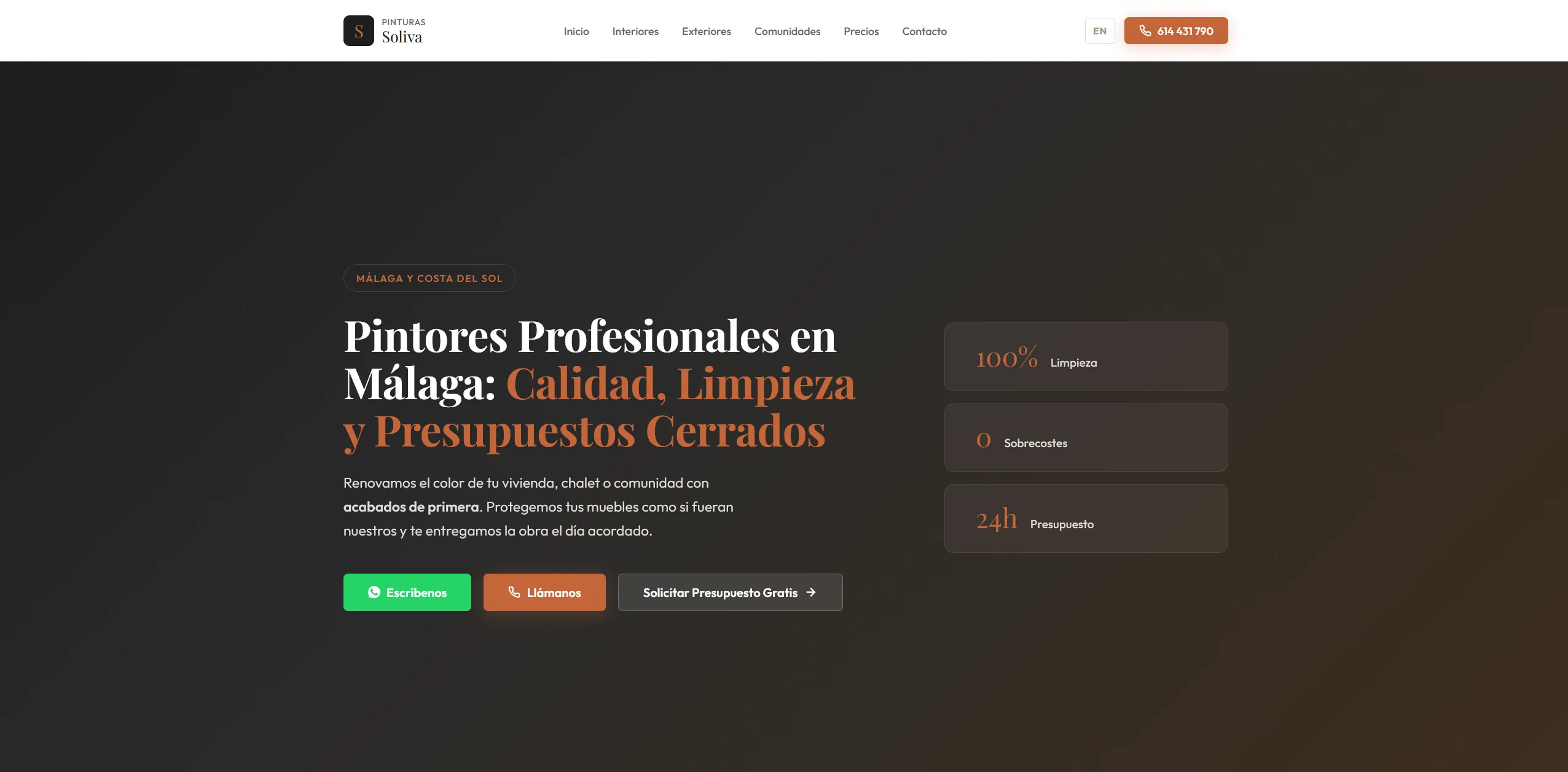 Captura de la web pinturassoliva.com
